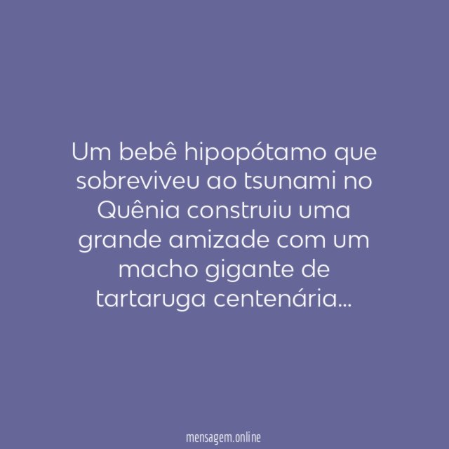 A Tartaruga e o Hipopótamo