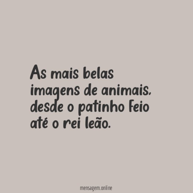 Incríveis Imagens de Animais
