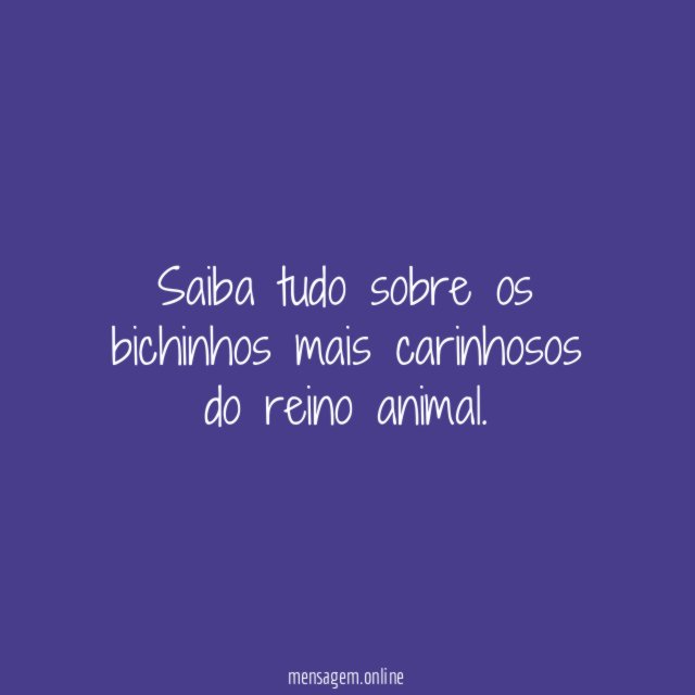 Curiosidades sobre os Cães