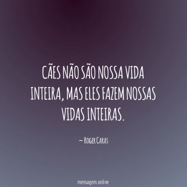 Cães que completam
