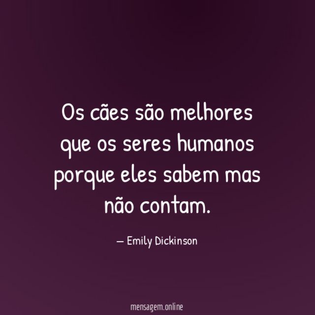O melhor confidente