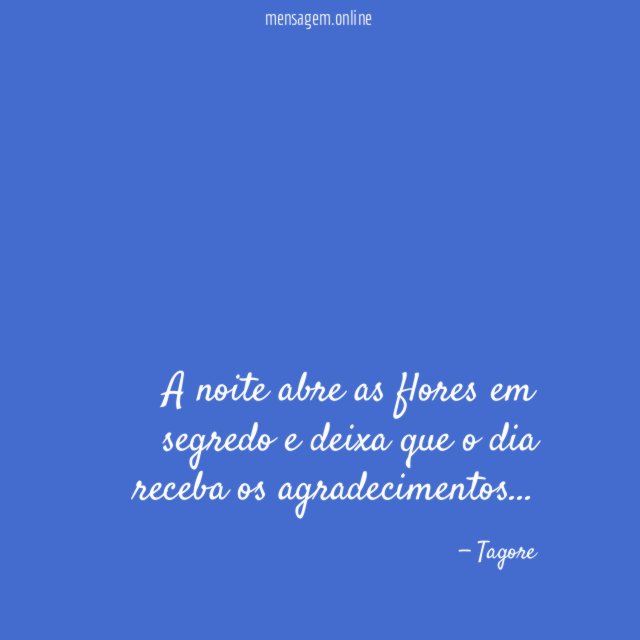 Abre as flores