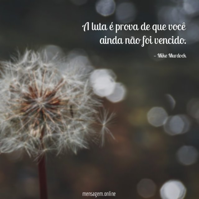 A luta é prova de que você ainda não foi vencido