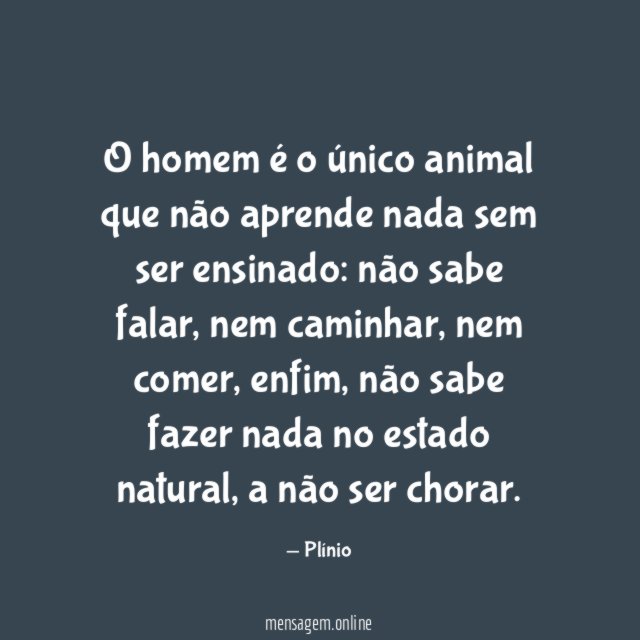 Animal
