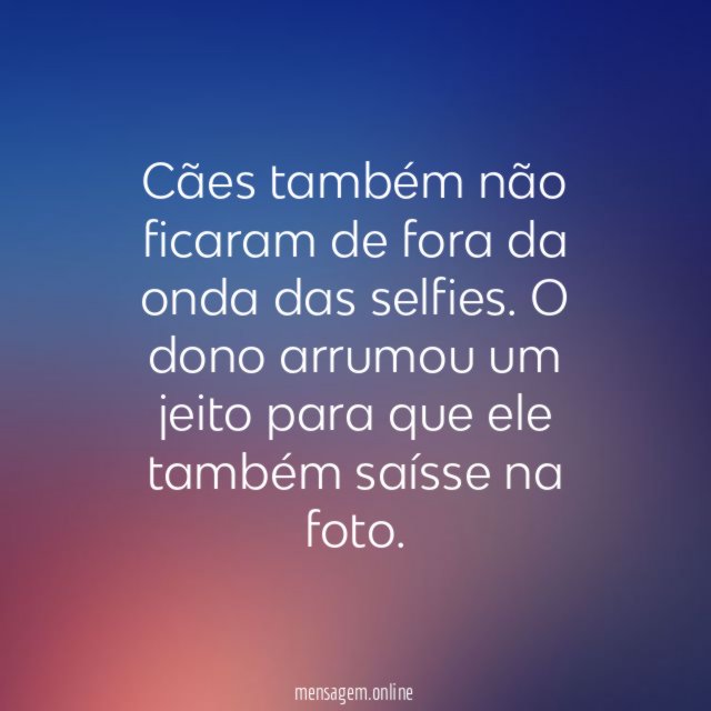 Cães e Seus Donos