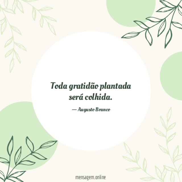 Toda gratidão plantada será colhida