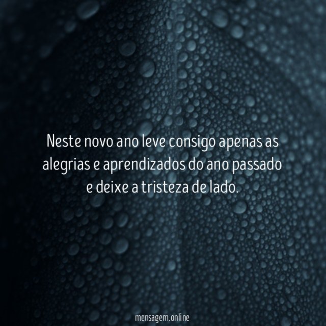 Neste novo ano leve consigo apenas as alegrias
