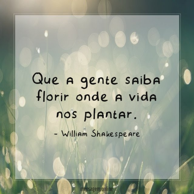 Que a gente saiba florir onde a vida nos plantar