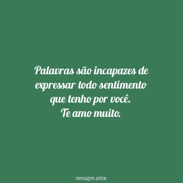 Palavras são incapazes de expressar todo sentimento que tenho por você