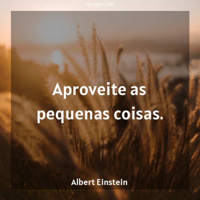 Aproveite as pequenas coisas