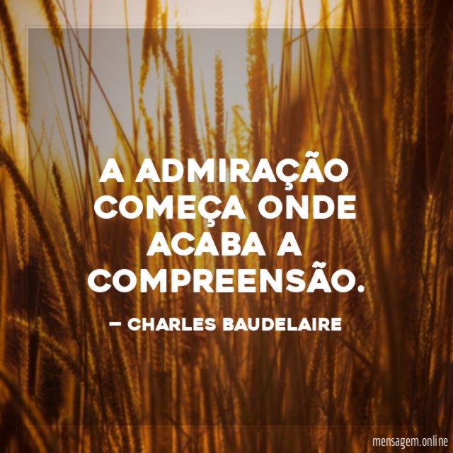 A admiração começa onde acaba a compreensão
