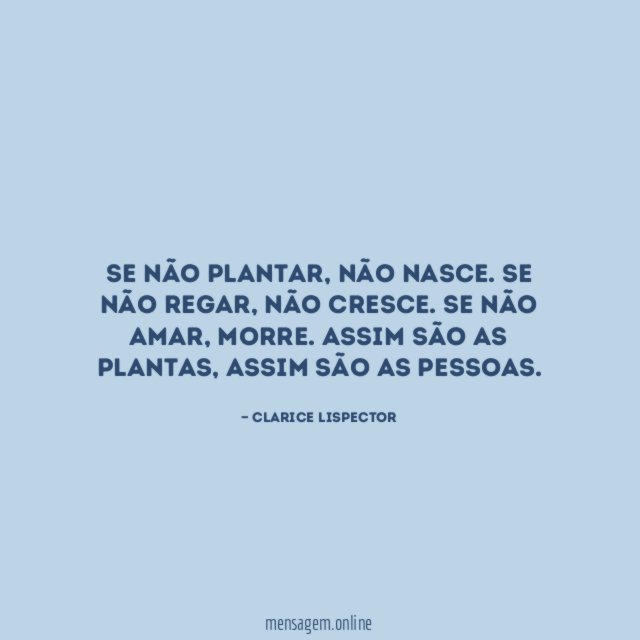 Se não plantar