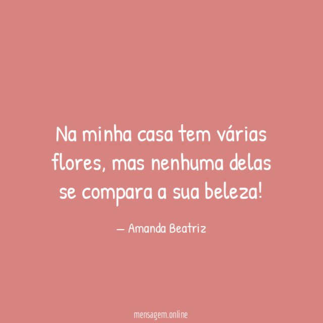 Na minha casa tem várias flores