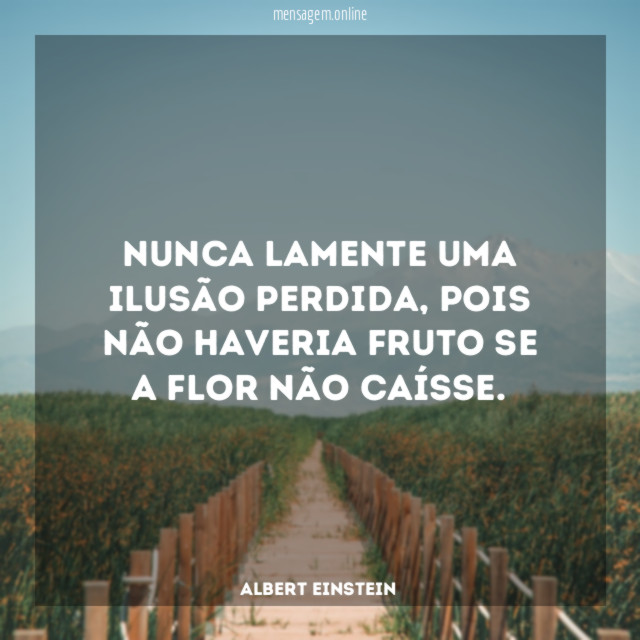 Nunca lamente uma ilusão perdida