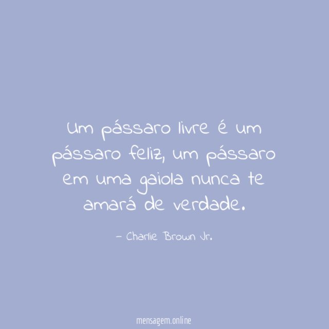 Um pássaro livre é um pássaro feliz