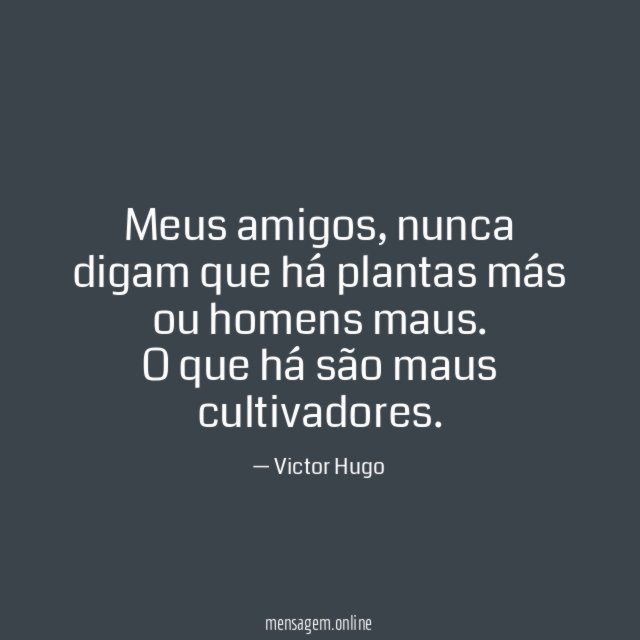 Meus amigos
