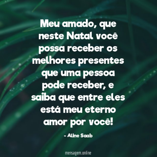 Meu amado