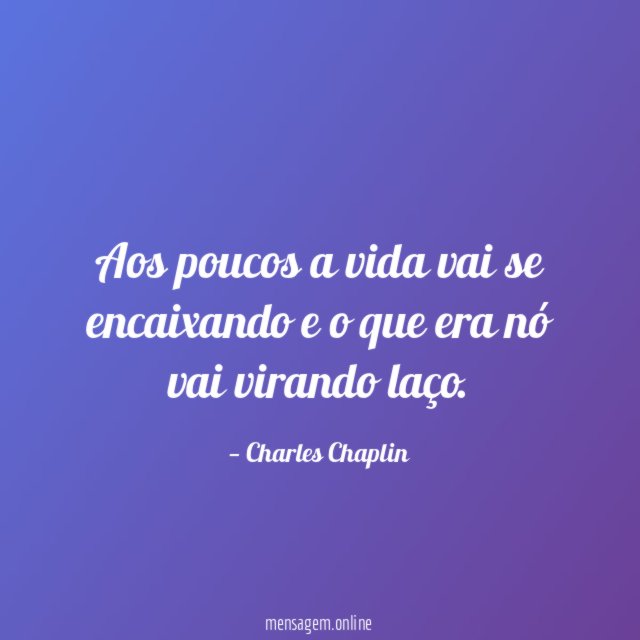 Aos poucos a vida vai se encaixando