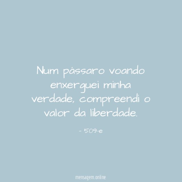 Num pássaro voando enxerguei minha verdade