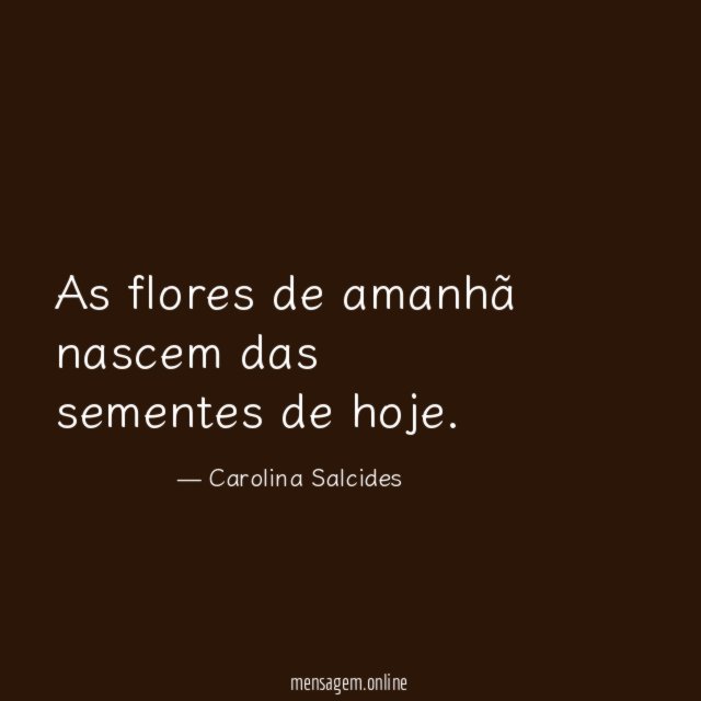 As flores de amanhã nascem das sementes de hoje