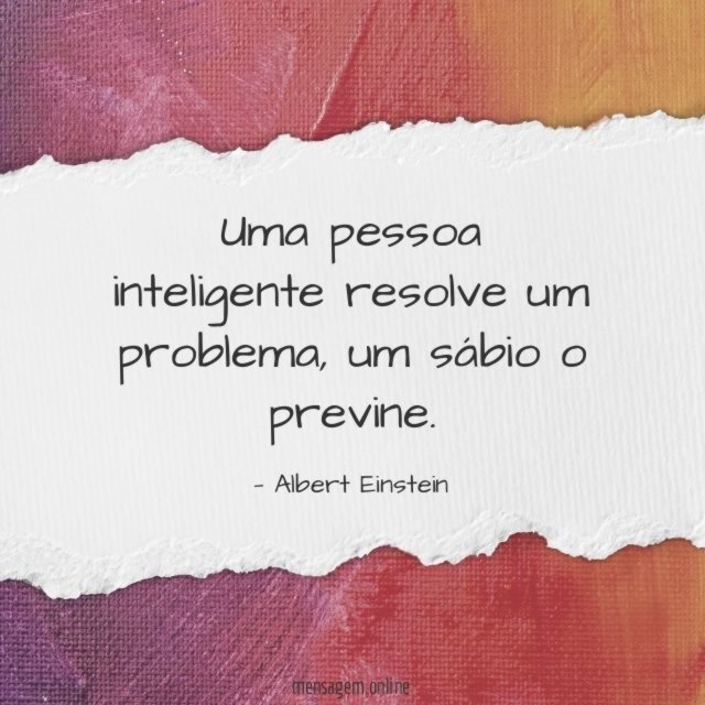 Uma pessoa inteligente resolve um problema