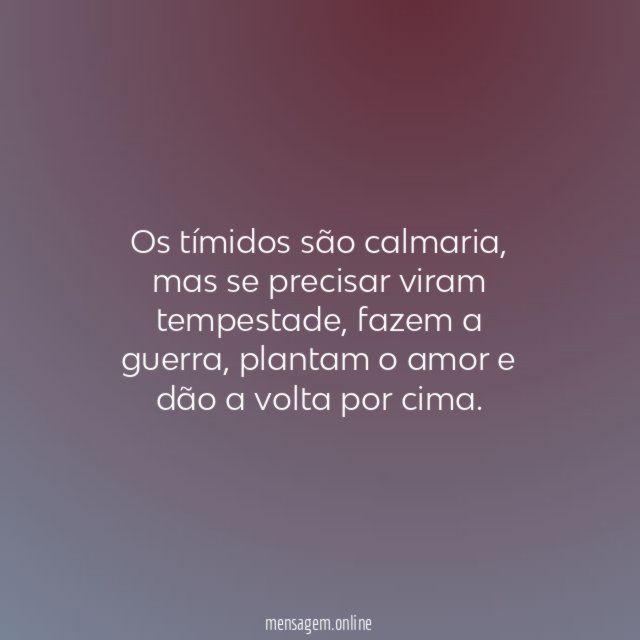 Os tímidos são calmaria