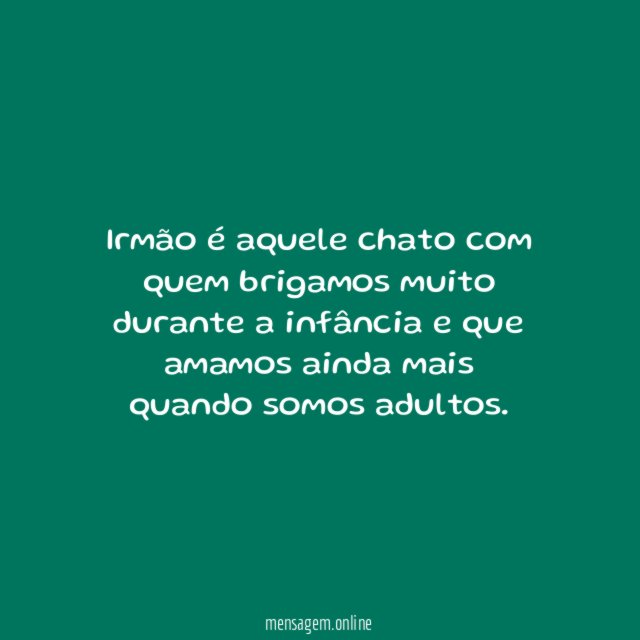 Irmão é aquele chato com quem brigamos muito