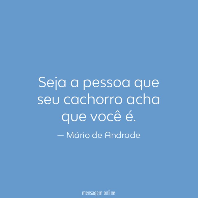 Seja a pessoa que seu cachorro acha que você é