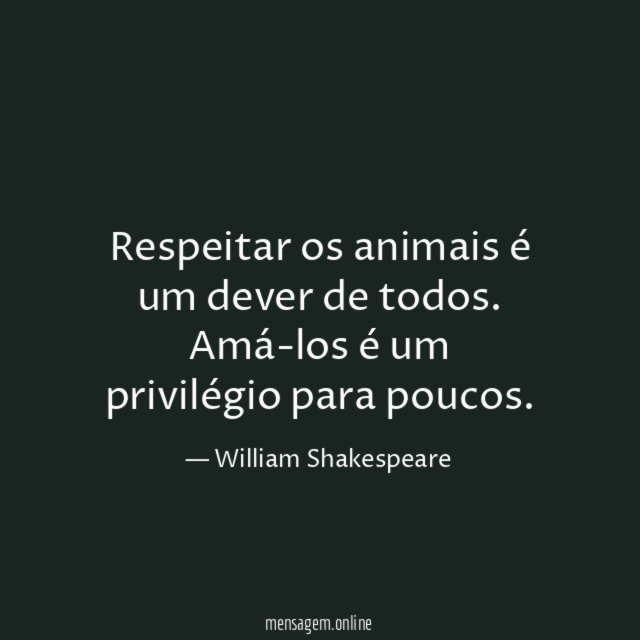 Respeitar os animais é um dever de todos