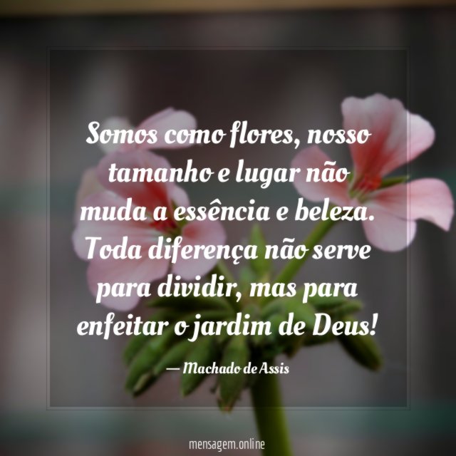 Somos como flores