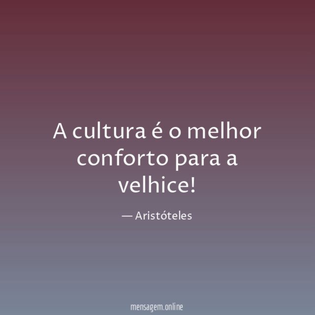 A cultura é o melhor conforto para a velhice