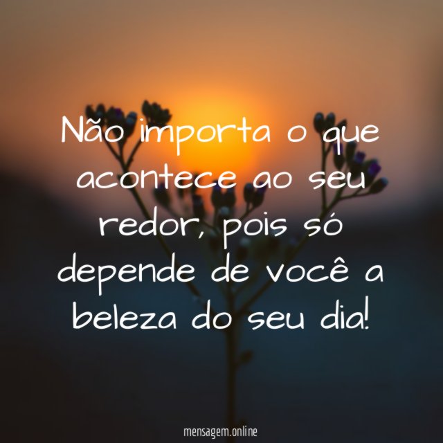 Não importa o que acontece ao seu redor