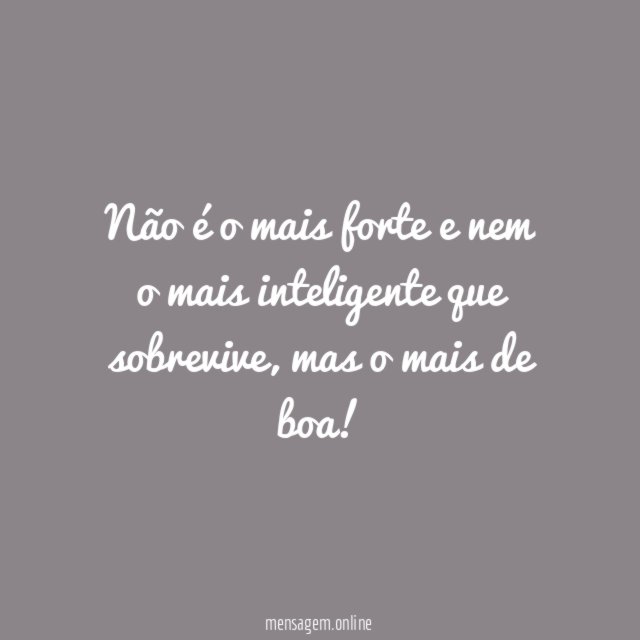 Não é o mais forte e nem o mais inteligente que sobrevive