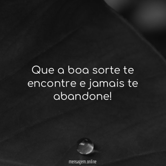 Que a boa sorte te encontre e jamais te abandone