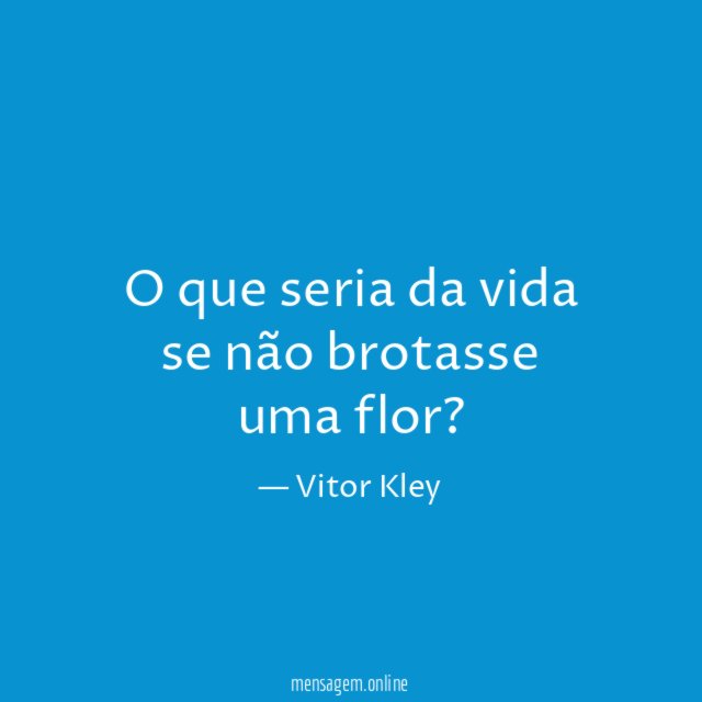 O que seria da vida se não brotasse uma flor