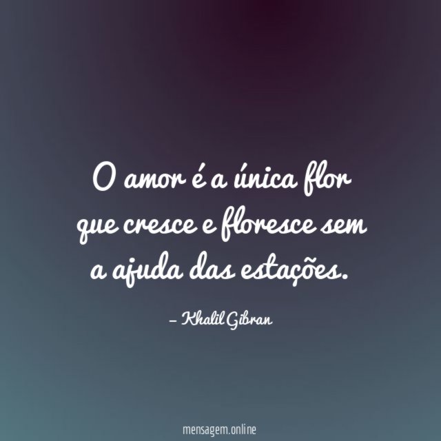 O amor é a única flor que cresce
