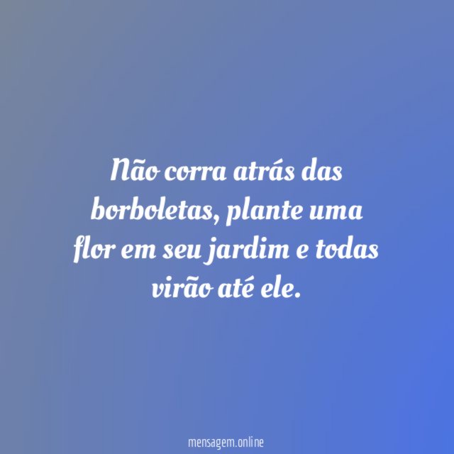 Não corra atrás das borboletas