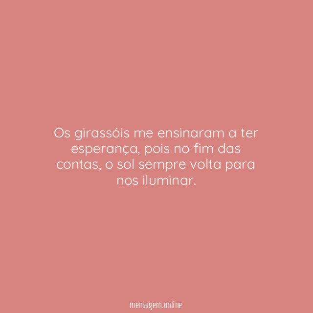 Os girassóis me ensinaram a ter esperança