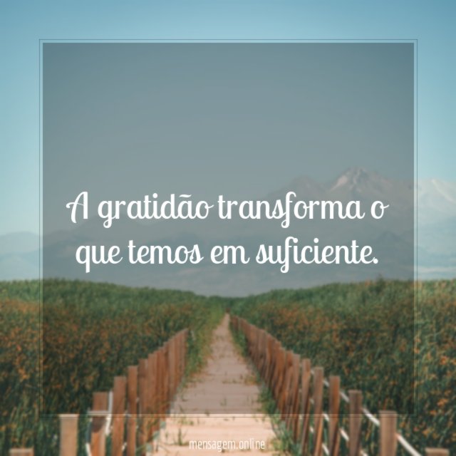 A gratidão transforma o que temos em suficiente