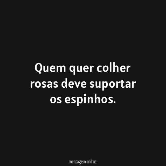Quem quer colher rosas deve suportar os espinhos