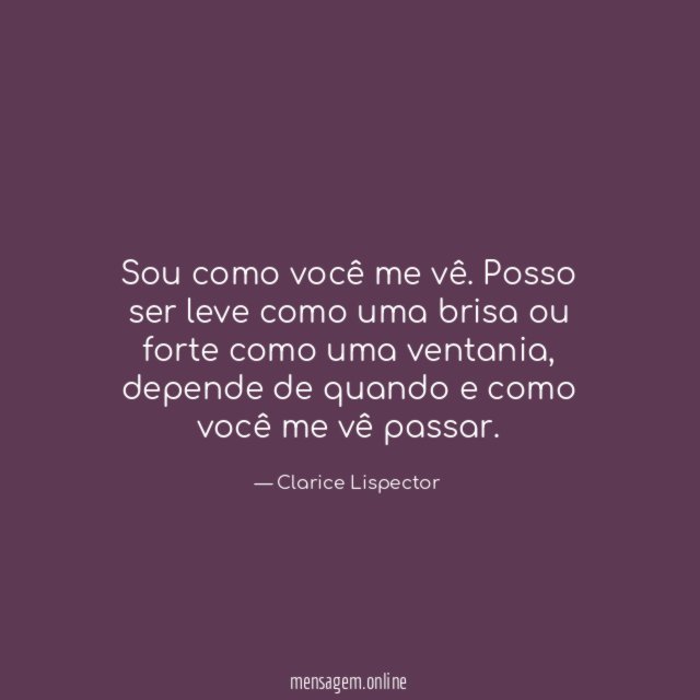 Sou como você me vê