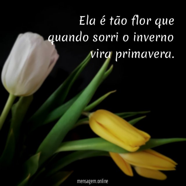 Ela é tão flor que quando sorri o inverno vira primavera