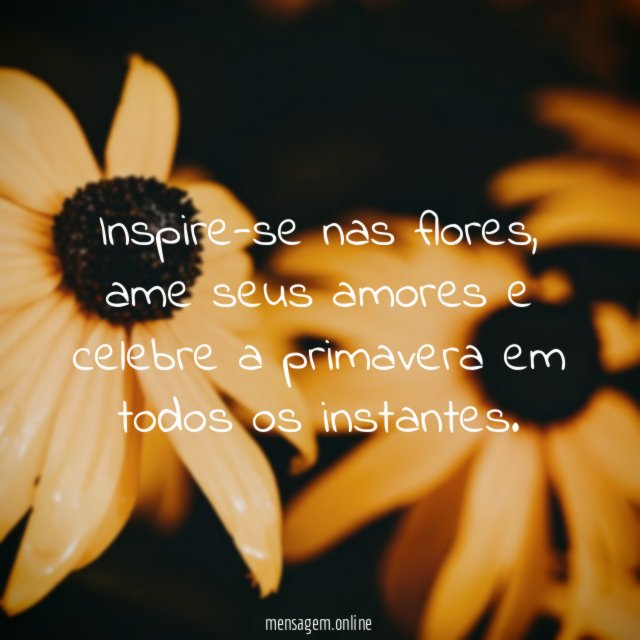 Inspire-se nas flores