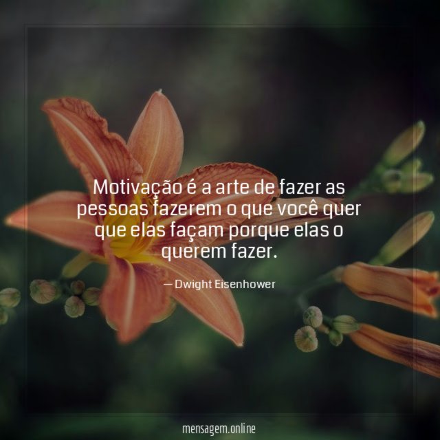Motivação é a arte de fazer as pessoas