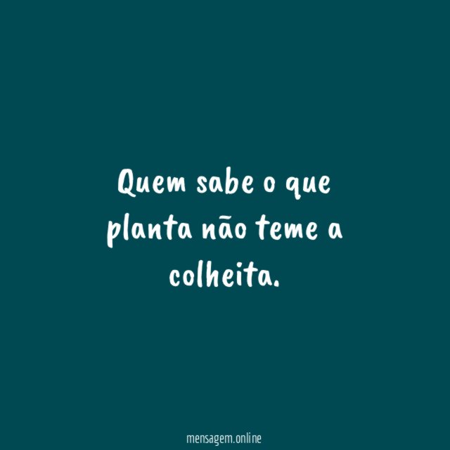 Quem sabe o que planta não teme a colheita