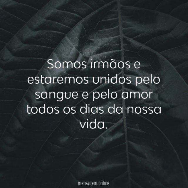 Somos irmãos e estaremos unidos pelo sangue