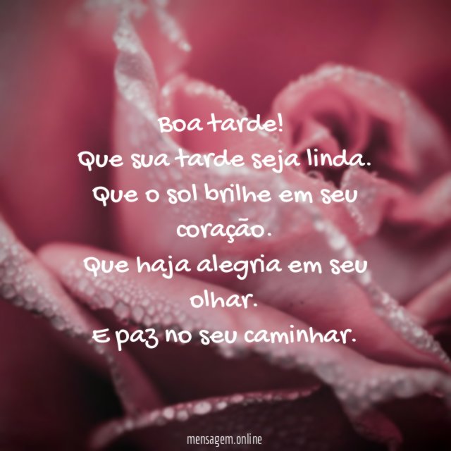 Linda tarde