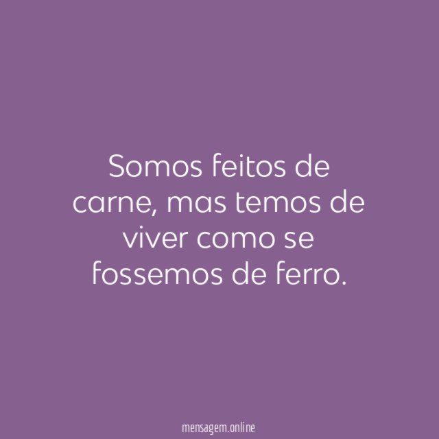 Somos feitos de carne