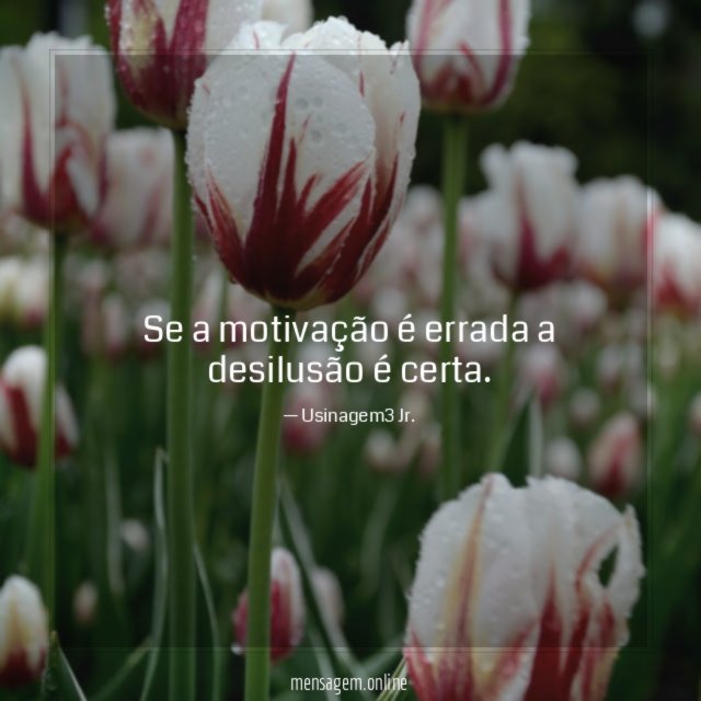 Se a motivação é errada a desilusão é certa