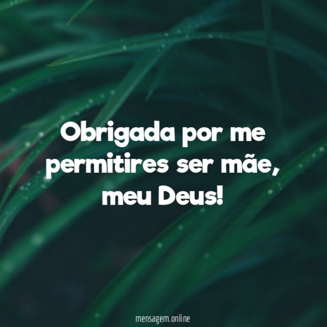 Obrigada por me permitires ser mãe, meu Deus